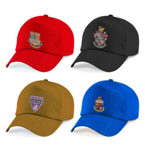 25-Baseball-caps-With logo Embroidery-package-199.99